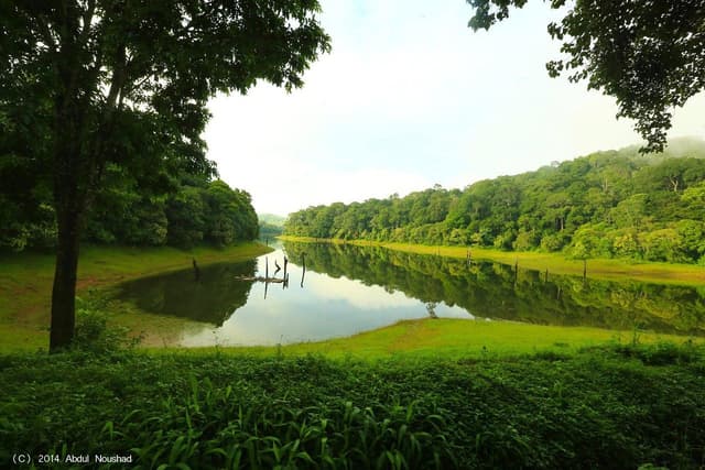 Forest River